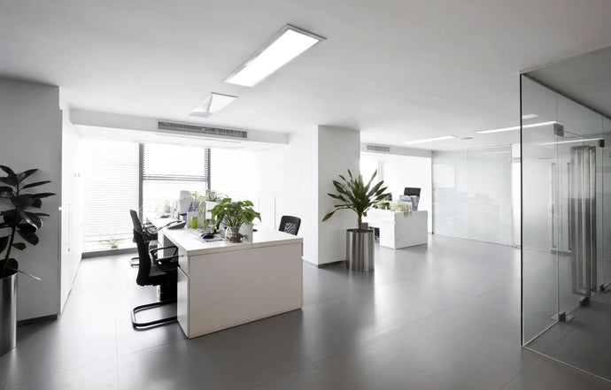 White office desk with black chairs and green plants.